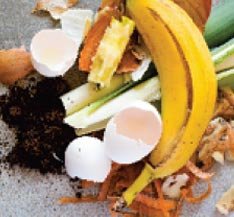 FoodScraps